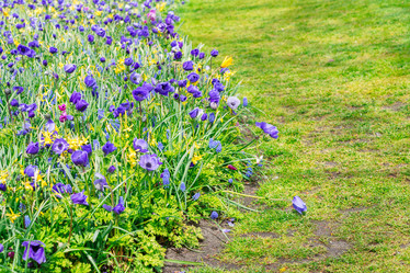 Similar image 11425968