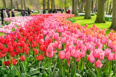 Similar image 11426010