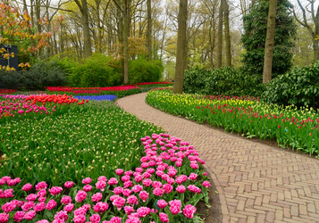 Similar image 11425763