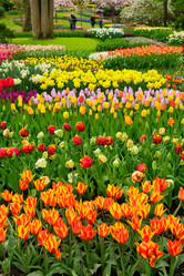 Similar image 11425764