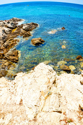 Similar image 11431669