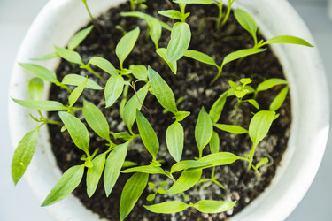 Similar image 11414472