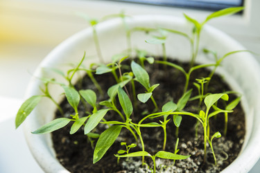 Similar image 11414473