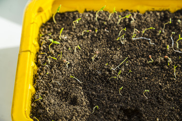 Similar image 11414476