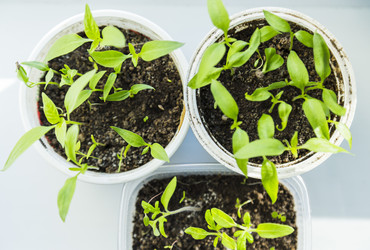 Similar image 11414479