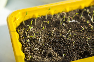 Similar image 11414480