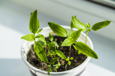 Similar image 11414481