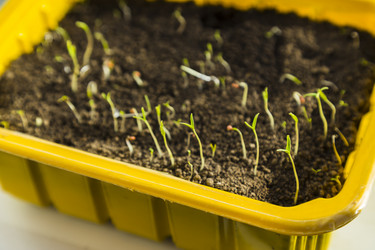 Similar image 11414483