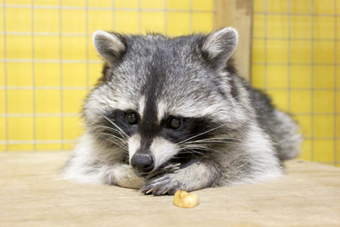 Similar image 11415295