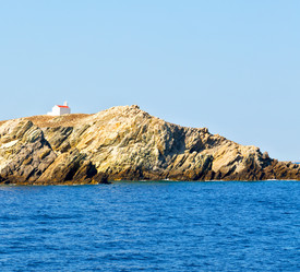 Similar image 11415926