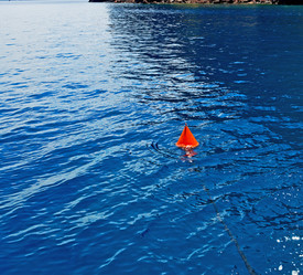 Similar image 11415947