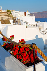 Similar image 11416067