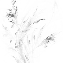 Similar image 11434256