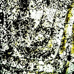 Similar image 11434276