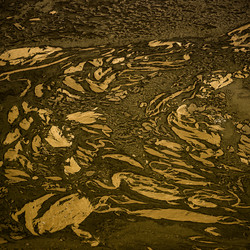 Similar image 11434298