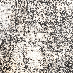 Similar image 11434316