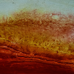 Similar image 11434318