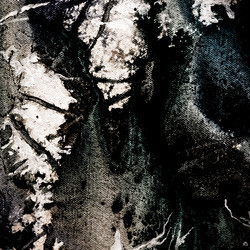 Similar image 11434319