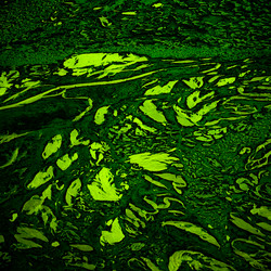 Similar image 11434337