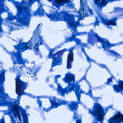 Similar image 11434338