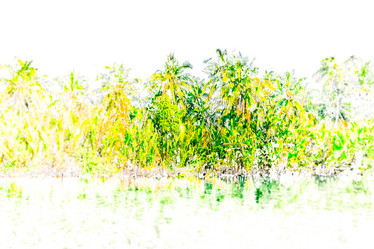 Similar image 11434401