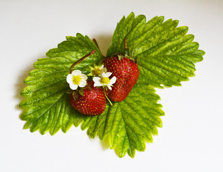 Similar image 11414578