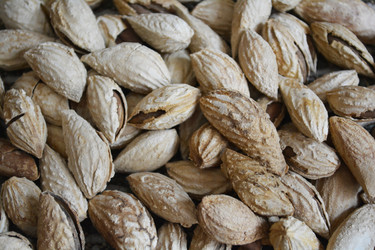 Similar image 11414583