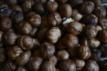 Similar image 11414586