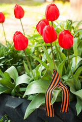 Similar image 11414728