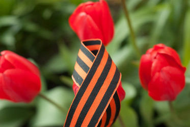 Similar image 11414729