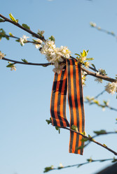 Similar image 11414730