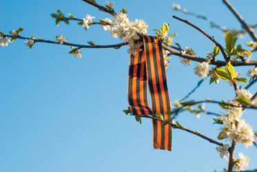 Similar image 11414731