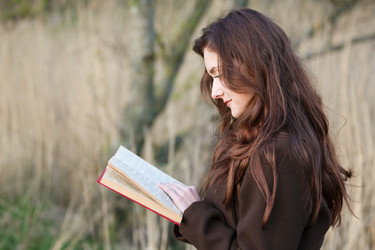 Similar image 11432164