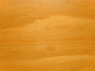 Similar image 11422888