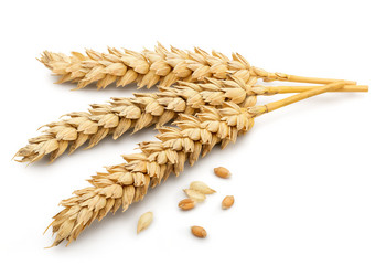 Similar image 11414813