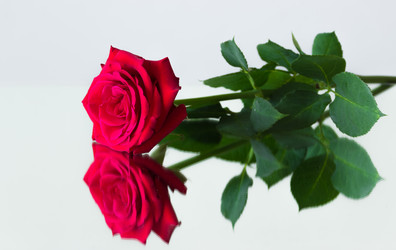 Similar image 11414416