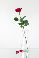 Similar image 11414417