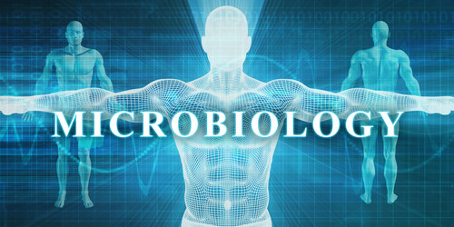 Similar image 11419149