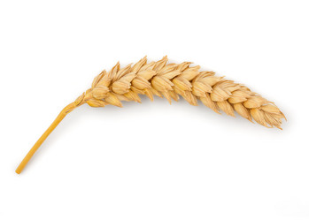 Similar image 11414819