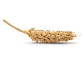 Similar image 11414820