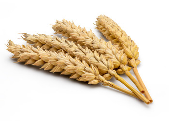 Similar image 11414821