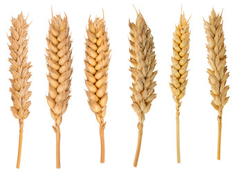 Similar image 11414825