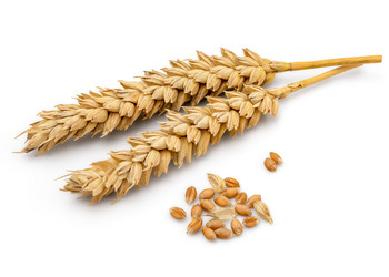 Similar image 11414826