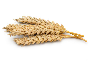 Similar image 11414827