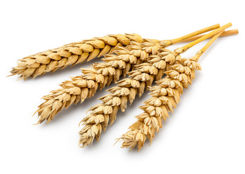 Similar image 11414828