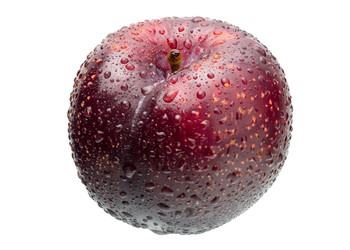 Similar image 11414846