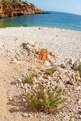 Similar image 11416087