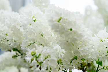 Similar image 11425970