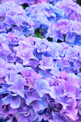 Similar image 11425973