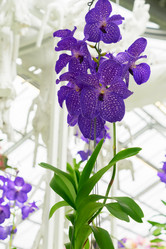 Similar image 11426011